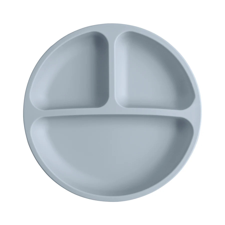 Silicon Suction Plate